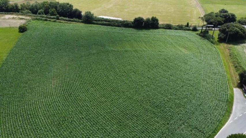 Parcela en venta en Coaña, Coaña photo 0