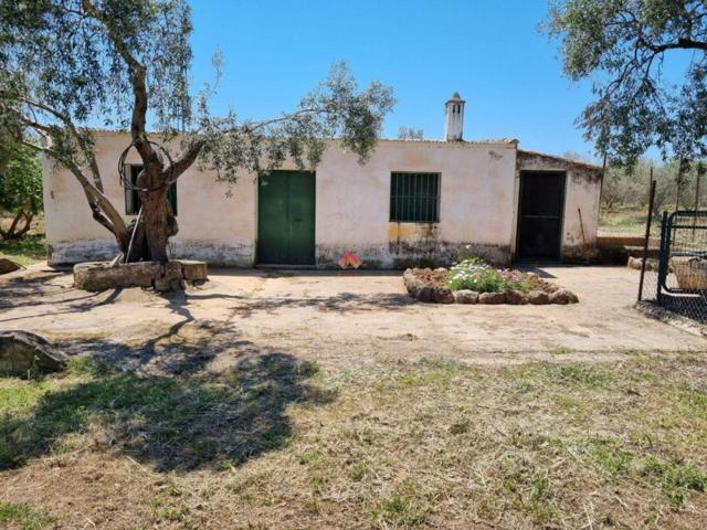 Parcela en venta en Ronda, Ronda photo 0