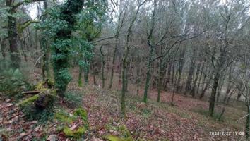 Parcela en venta en Vila de Cruces, Merza photo 0