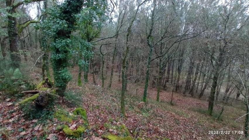 Parcela en venta en Vila de Cruces, Merza photo 0