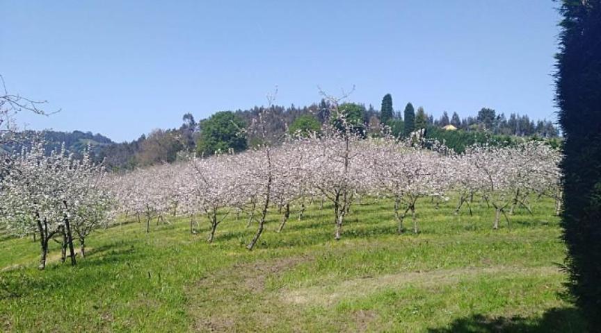 Chalet en venta en Gijón, Periferia - Cenero photo 0