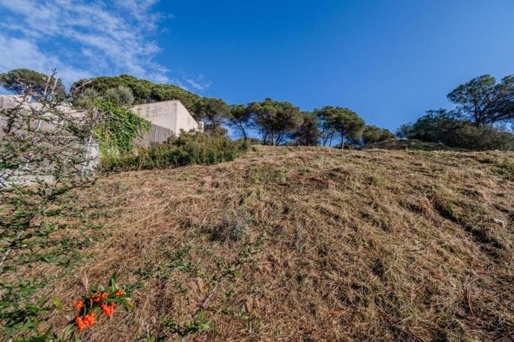 Parcela en venta en Dosrius, Dosrius photo 0