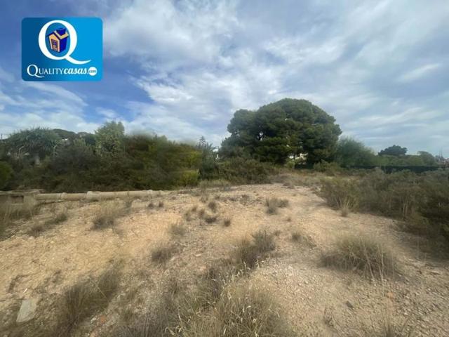 Parcela en venta en Elche, Campo - Peña Aguilas photo 0