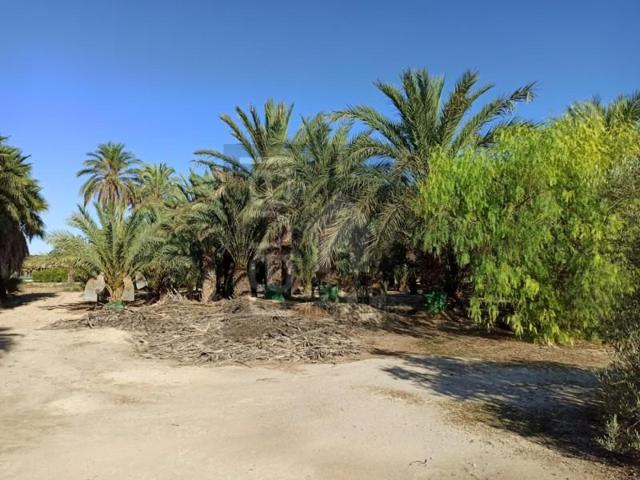 Parcela en venta en Elche, Pussol photo 0