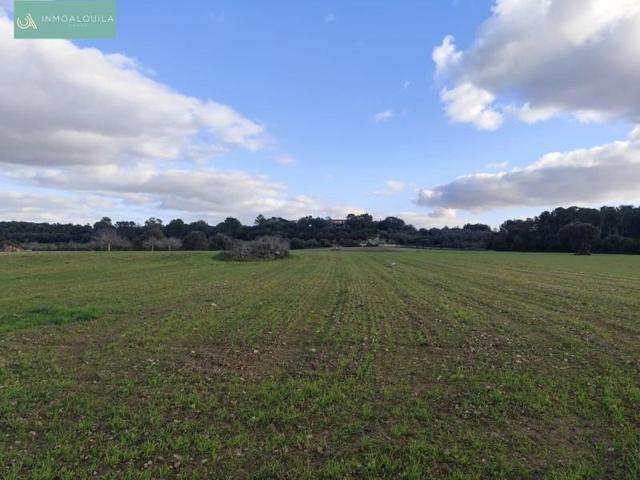 Parcela en venta en Sineu, Sineu photo 0