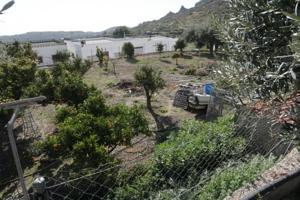 Parcela en venta en Félix, Pueblo photo 0