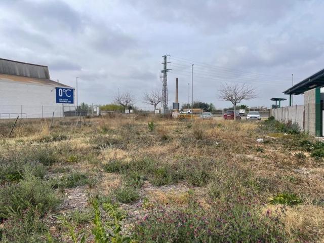 Parcela en venta en Aldaia, Aldaia photo 0