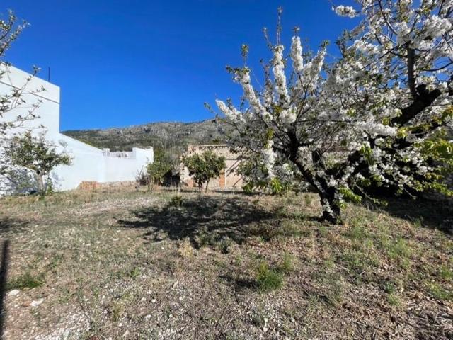 Parcela en venta en Benigembla, Afueras de la población photo 0