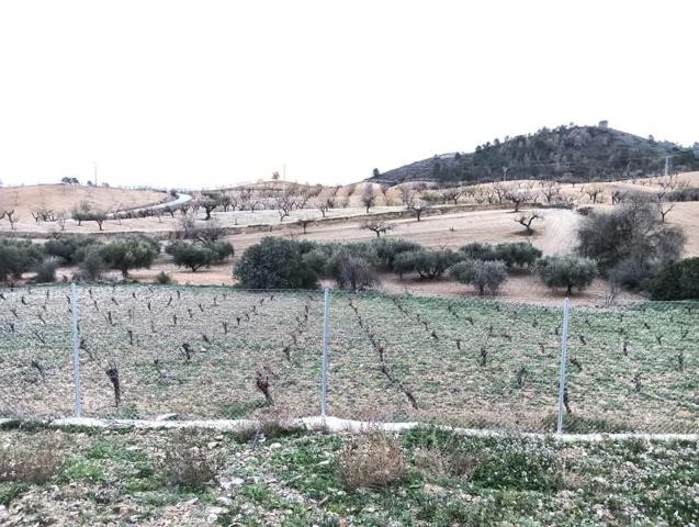 Parcela en venta en Lorca, Zarcilla de Ramos-Doña Inés photo 0