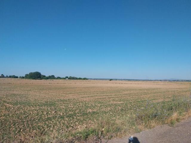 Parcela en venta en Fuente el Saz de Jarama, Madrid photo 0