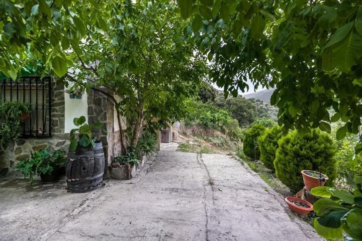 Parcela en venta en Güejar Sierra, GÜEJAR SIERRA photo 0