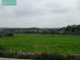 Parcela en venta en Costitx, Costitx photo 0