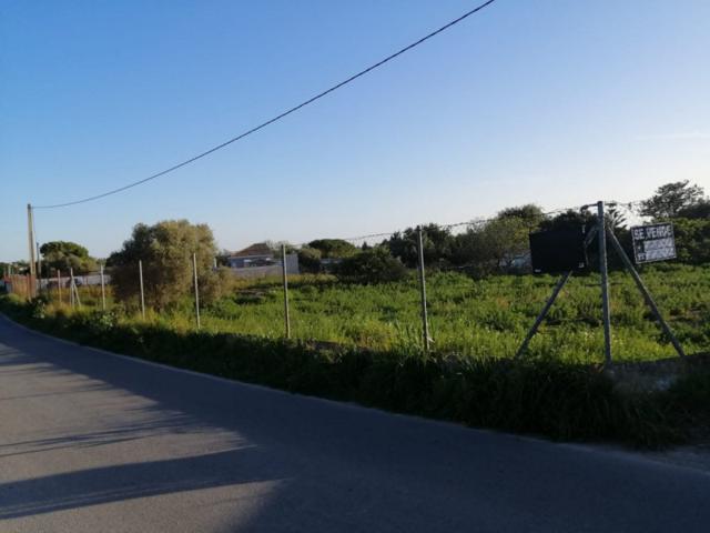 Parcela en venta en Chiclana de la Frontera, Borreguitos photo 0