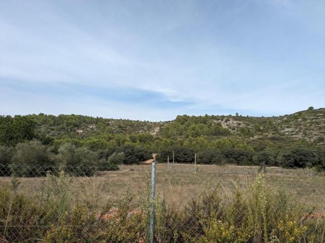 Parcela en venta en Alcalali, Paraje la fuente photo 0