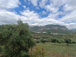 Parcela en venta en Ubrique, CERRO MULERA photo 0