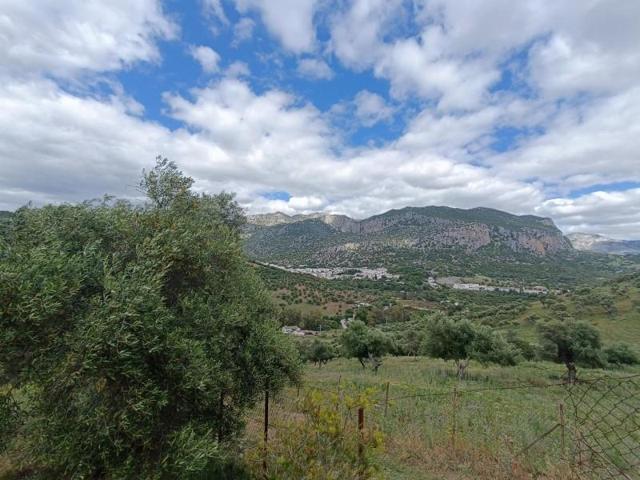 Parcela en venta en Ubrique, CERRO MULERA photo 0