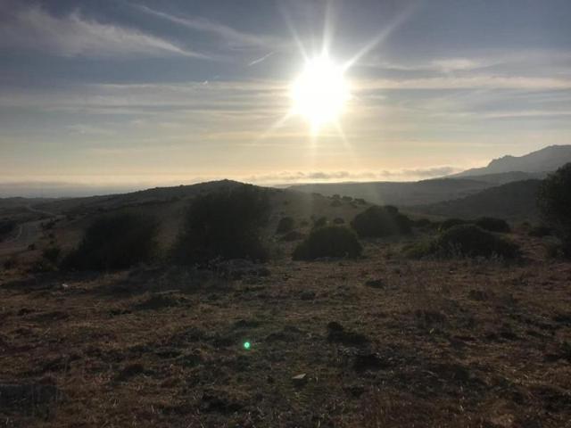 Parcela en venta en Tarifa, Bolonia photo 0