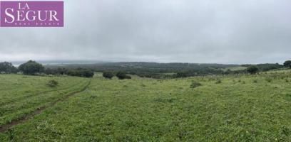 Parcela en venta en Barbate, Manzanete photo 0