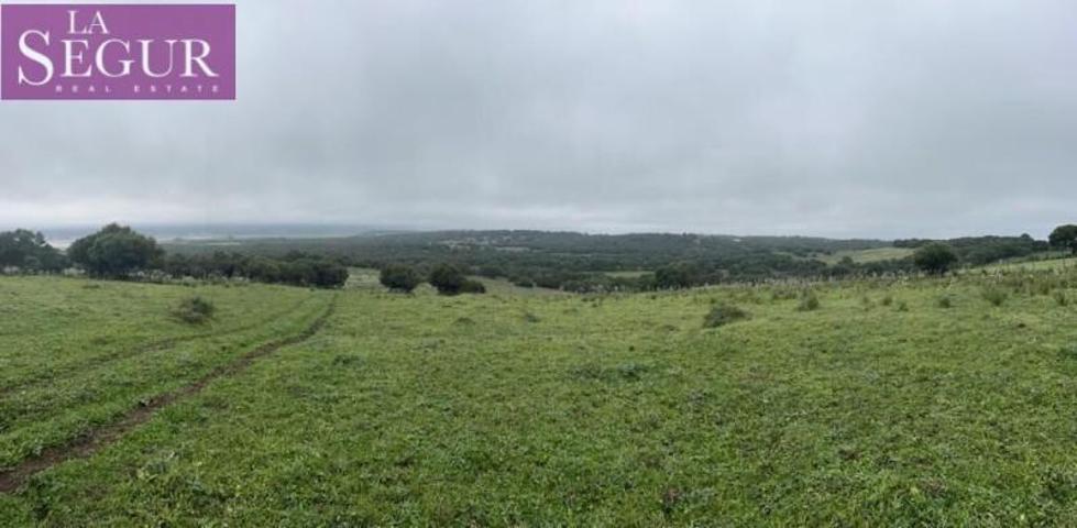 Parcela en venta en Barbate, Manzanete photo 0