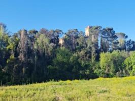 Parcela en venta en Batres, Batres photo 0