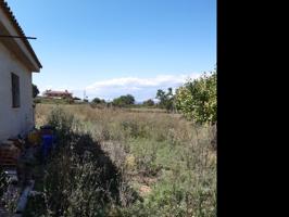 Parcela en venta en L'Eliana, TORRE DEL VIRREY photo 0