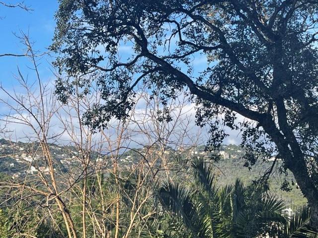 Parcela en venta en Lloret de Mar photo 0