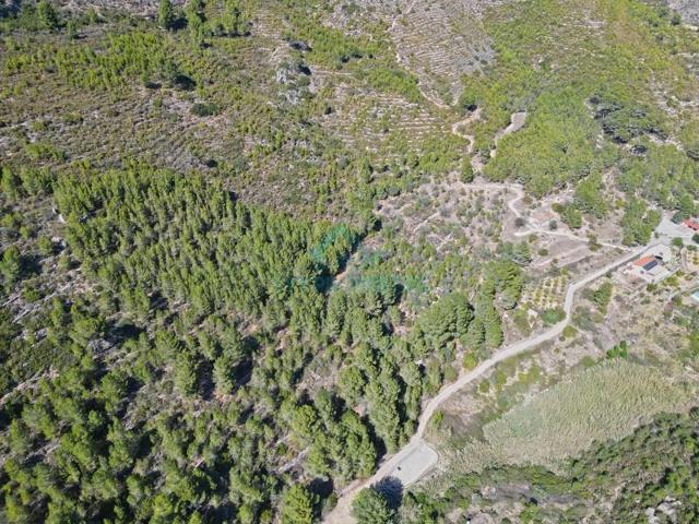 Parcela en venta en Pedreguer photo 0