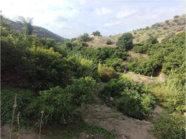 Parcela en venta en Canillas de Aceituno photo 0