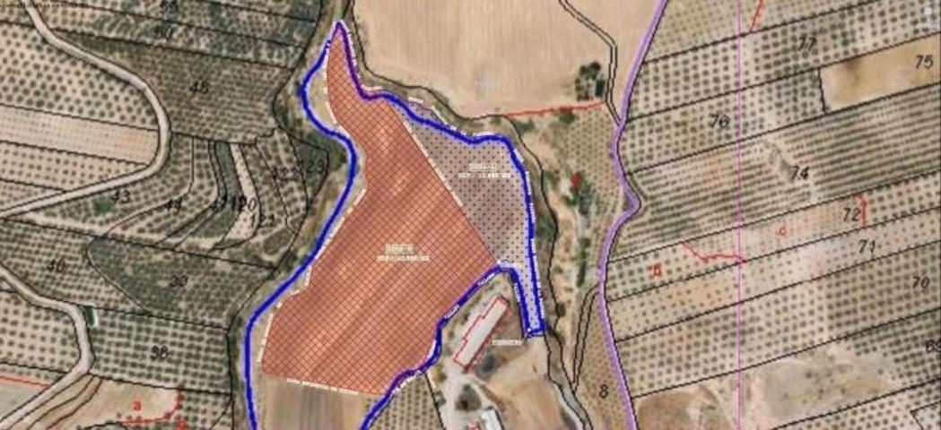 Parcela en venta en Cijuela, Andalucia photo 0