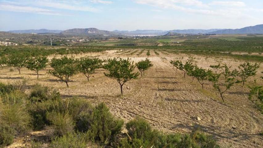 Parcela en venta en Calasparra, Valentín photo 0