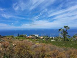 Parcela en venta en Santa Úrsula photo 0