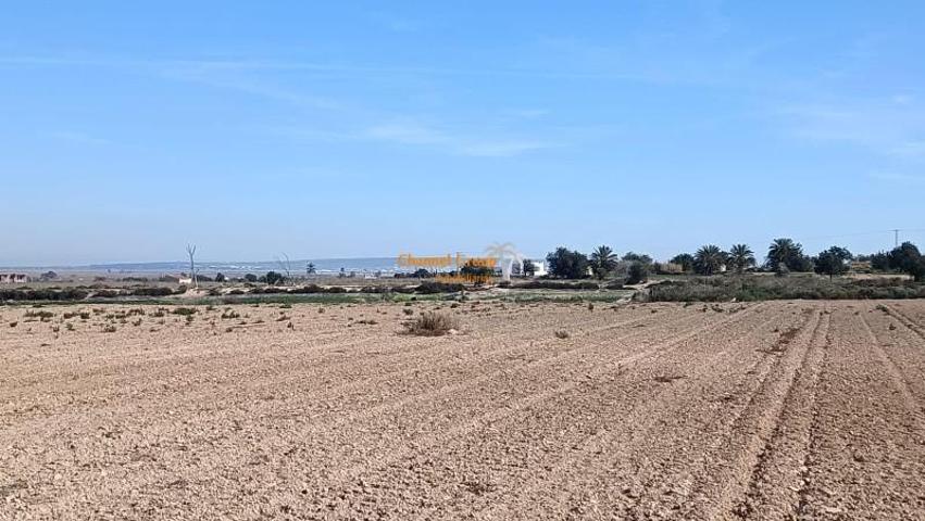 Parcela en venta en La Marina, Carretera la marina photo 0