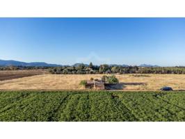 Parcela en venta en Llubí photo 0