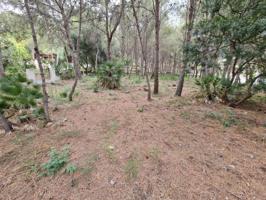 Parcela en venta en Benicàssim, Montornes - Las Palmas - El Refugio photo 0