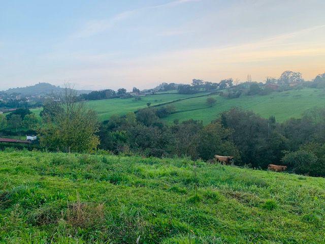 Parcela en venta en Gijón, Periferia - Mareo photo 0