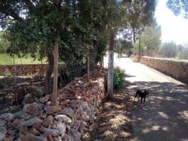 Parcela en venta en Algaida, Algaida photo 0