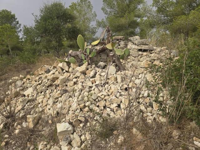 Parcela en venta en Montuïri, Montuiri photo 0