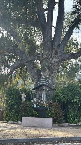 Parcela en venta en Córdoba, El Patriarca photo 0