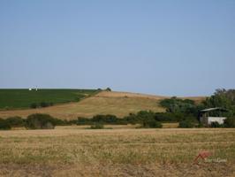Parcela en venta en Arcos de la Frontera, Elefante azul photo 0