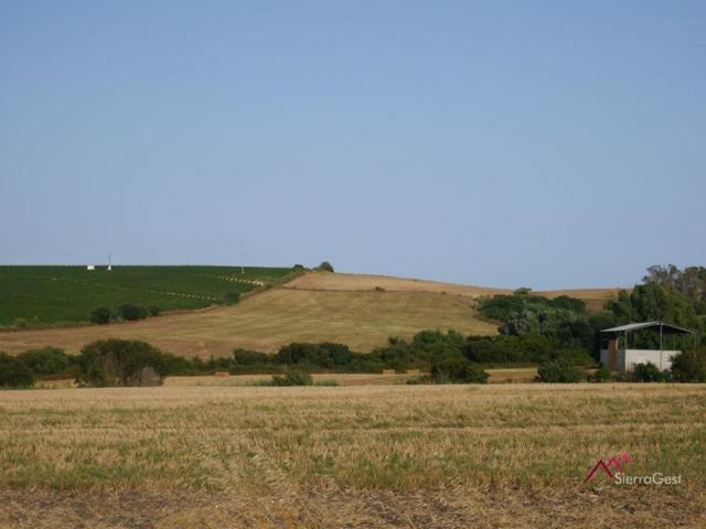 Parcela en venta en Arcos de la Frontera, Elefante azul photo 0