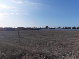 Parcela en venta en Vejer de la Frontera, El palmar photo 0