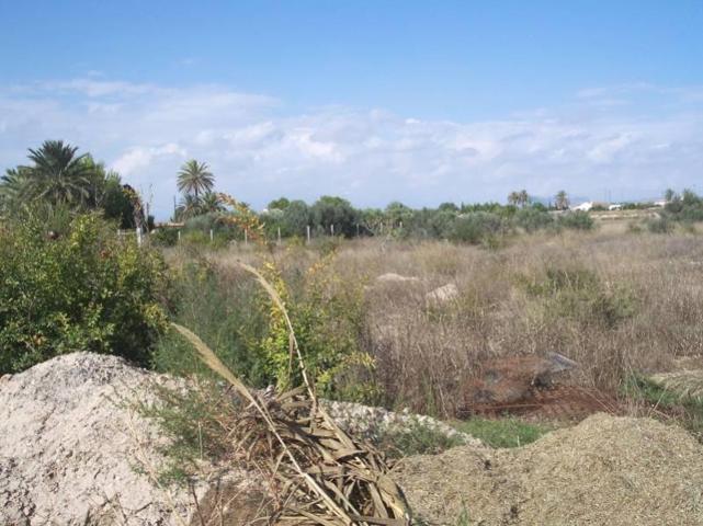 Parcela en venta en Elche, Elche photo 0