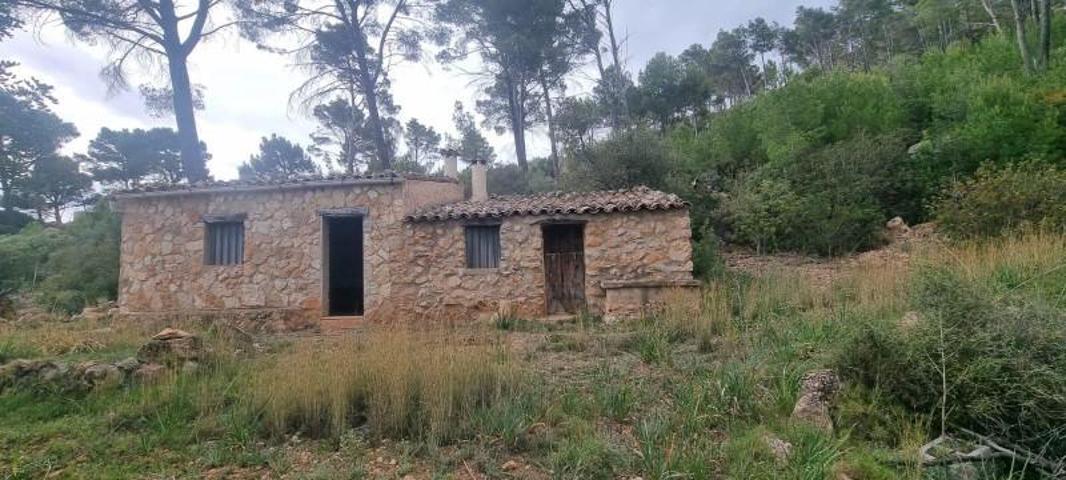 Parcela en venta en Andratx, Andratx - Sa Coma photo 0