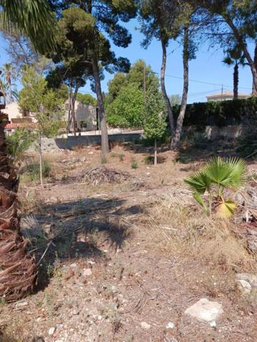 Parcela en venta en Paterna, EL PLANTIO photo 0