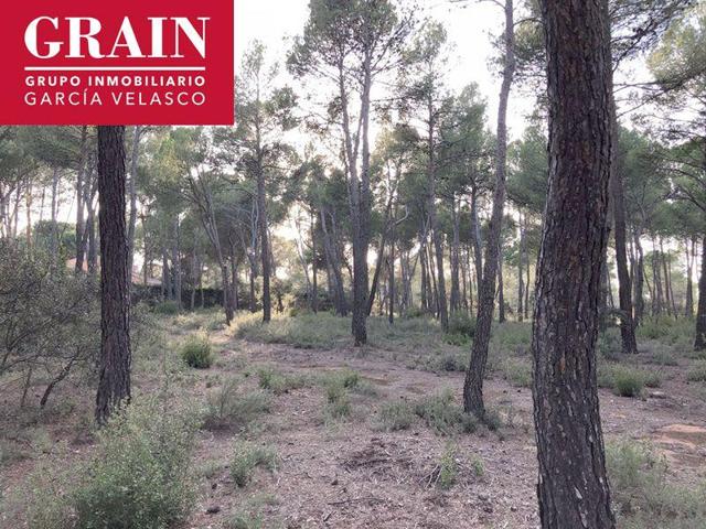 Parcela en venta en Albacete, Pinares del Jucar photo 0