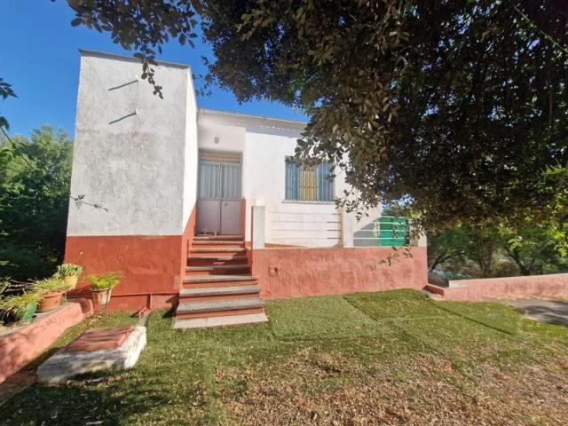 Parcela en venta en Ubrique, CERRO MULERA photo 0