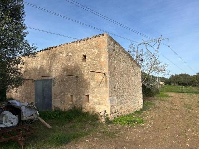 Parcela en venta en Muro, Muro photo 0