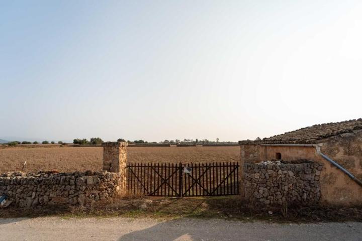 Parcela en venta en Inca, Inca photo 0