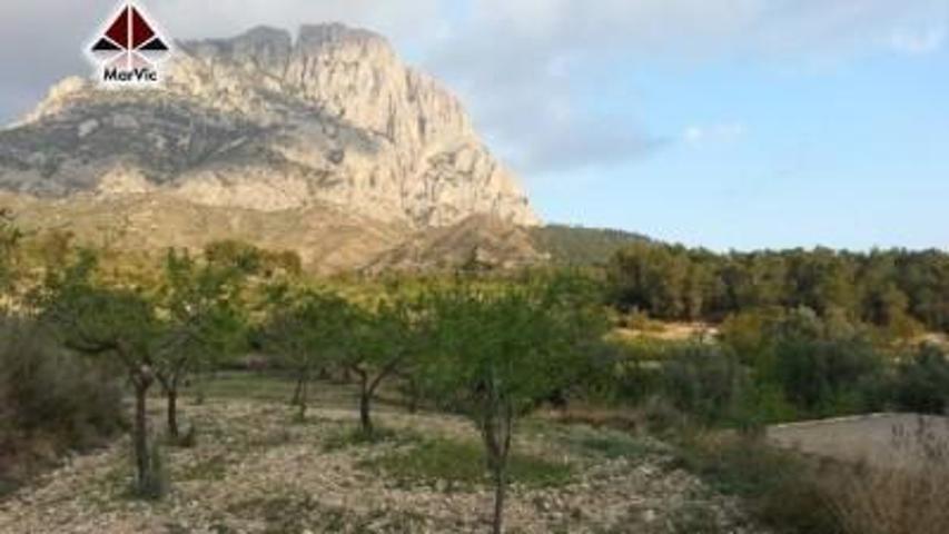 Parcela en venta en Finestrat, URBANIZACIONES photo 0