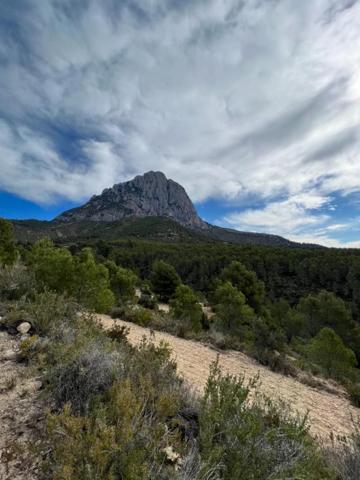 Parcela en venta en Finestrat, Realet photo 0